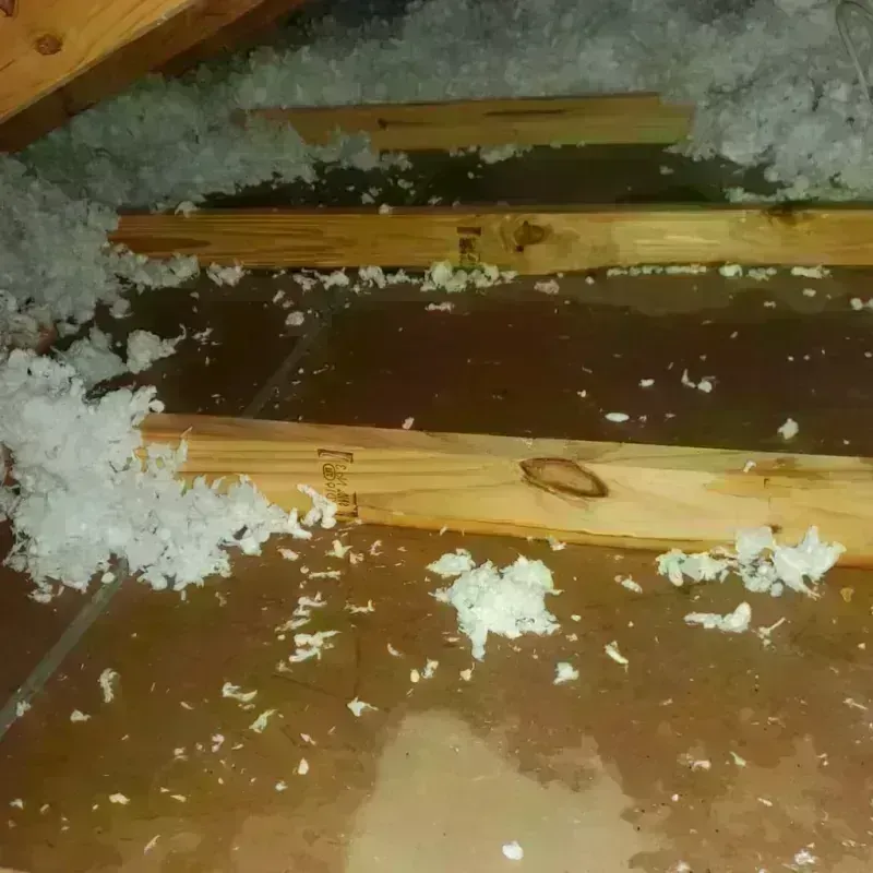 Attic Water Damage in Morristown, IN